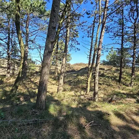 Lägenhet 5 Person In Romo-by Traum