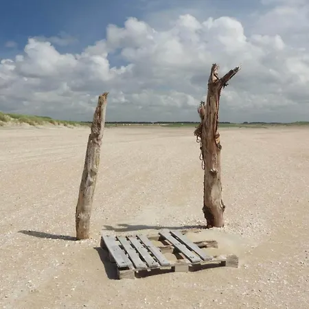 5 Person In Romo-by Traum *