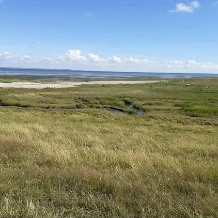 5 Person In Romo-by Traum *