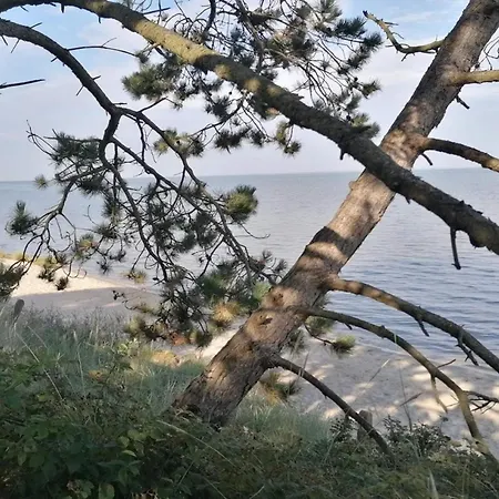 5 Person In Romo-by Traum Lejlighed *