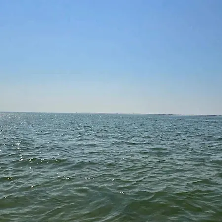 5 Person In Romo-by Traum *