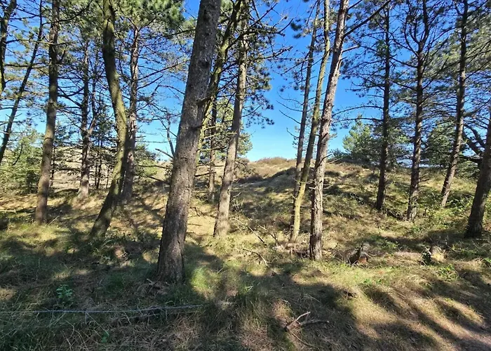 Lägenhet 5 Person In Romo-by Traum