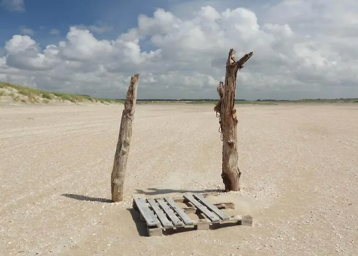 5 Person In Romo-by Traum *