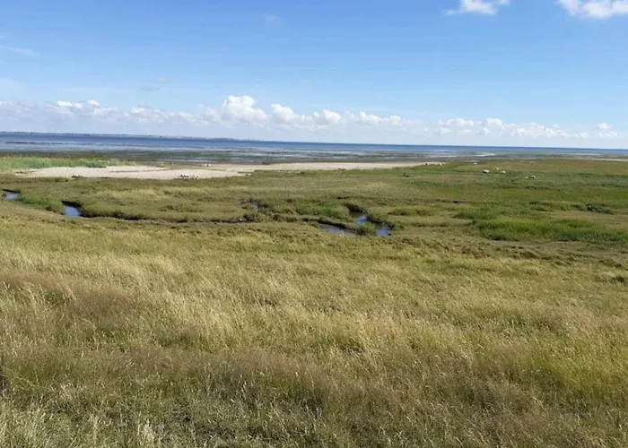 5 Person In Romo-by Traum *