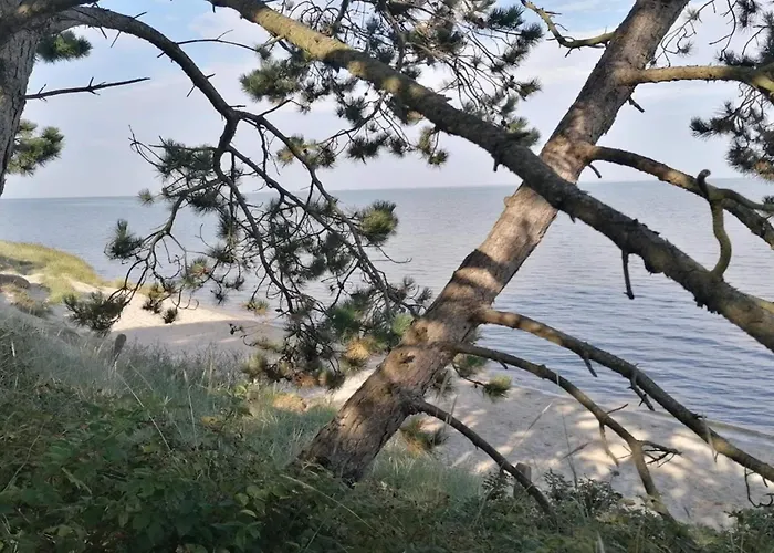 5 Person In Romo-by Traum Lägenhet *