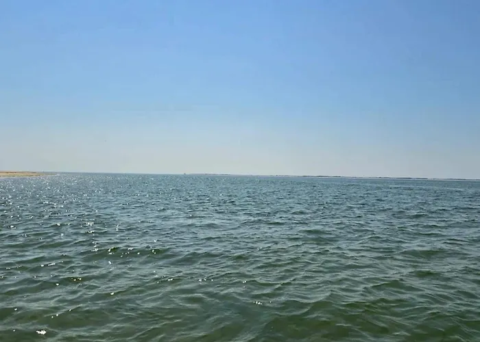 5 Person In Romo-by Traum *