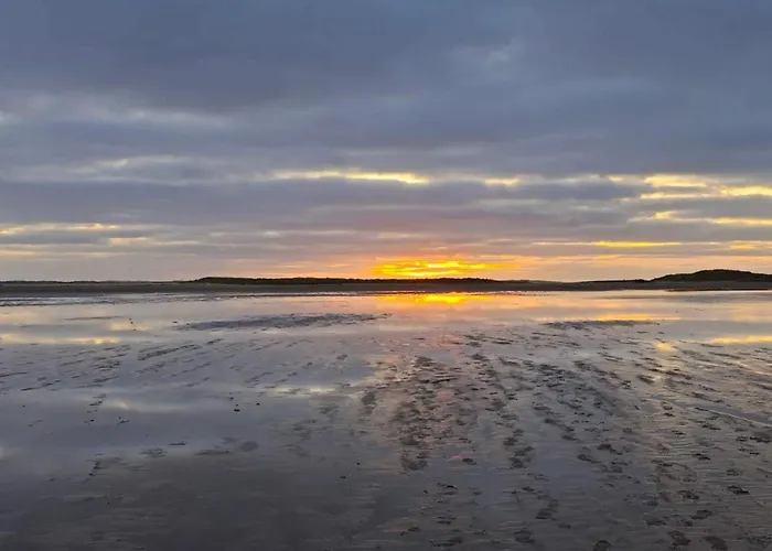 5 Person In Romo-by Traum *